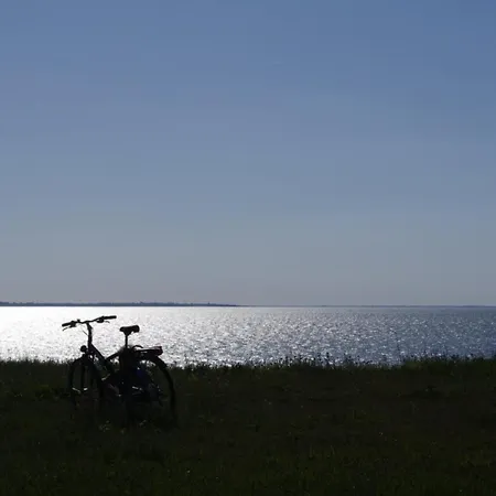 A L'ombre De L'albizia - بيت للعطل