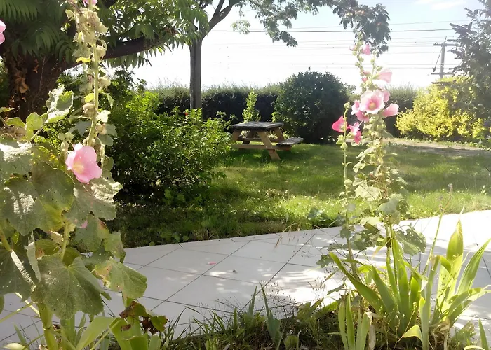 Holiday home A L'ombre De L'albizia - Aytre