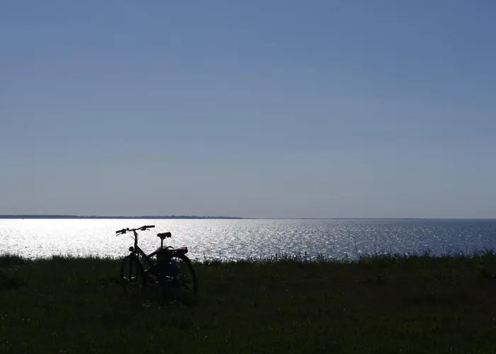 A L'ombre De L'albizia - Holiday home